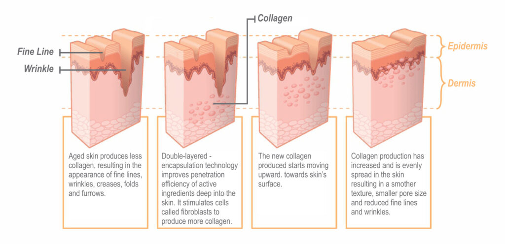 collagen-capsules